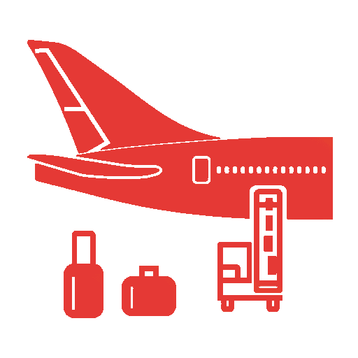 Aircraft and luggage icon